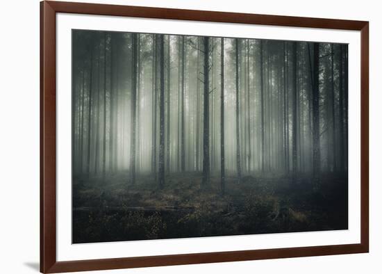 Ethereal Surround-Andreas Stridsberg-Framed Giclee Print