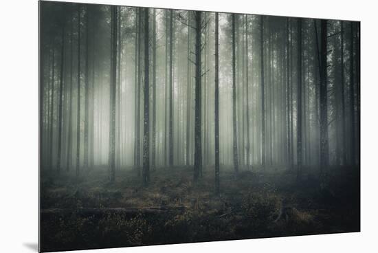 Ethereal Surround-Andreas Stridsberg-Mounted Giclee Print