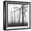 Ethereal Trees-Nicholas Bell-Framed Photographic Print