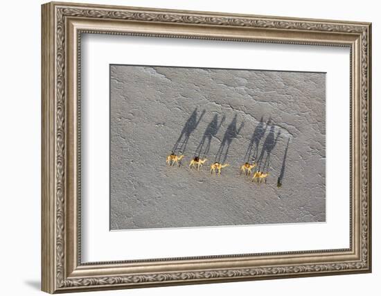 Ethiopia, Assale-Nigel Pavitt-Framed Photographic Print