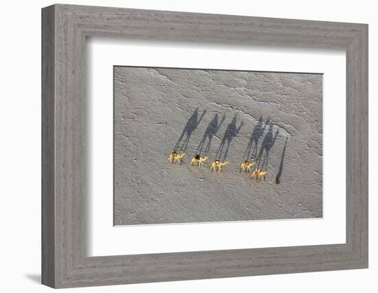 Ethiopia, Assale-Nigel Pavitt-Framed Photographic Print