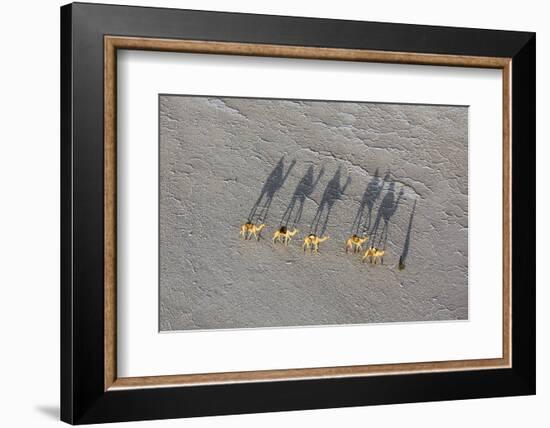 Ethiopia, Assale-Nigel Pavitt-Framed Photographic Print