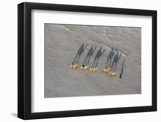 Ethiopia, Assale-Nigel Pavitt-Framed Photographic Print