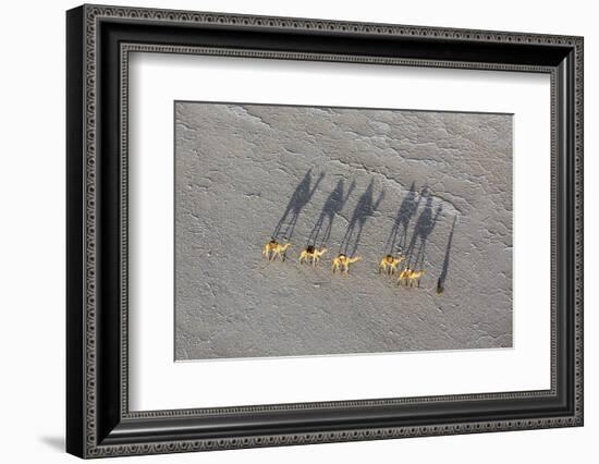 Ethiopia, Assale-Nigel Pavitt-Framed Photographic Print