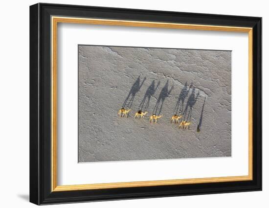 Ethiopia, Assale-Nigel Pavitt-Framed Photographic Print