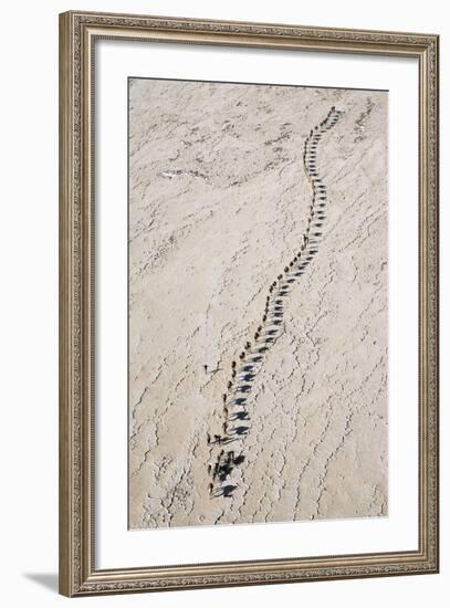 Ethiopia, Assale-Nigel Pavitt-Framed Photographic Print