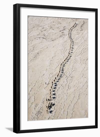 Ethiopia, Assale-Nigel Pavitt-Framed Photographic Print