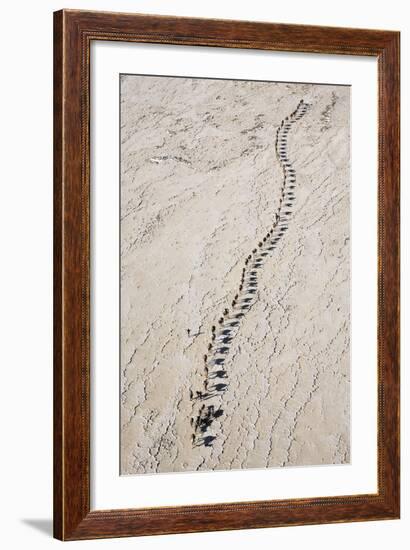 Ethiopia, Assale-Nigel Pavitt-Framed Photographic Print