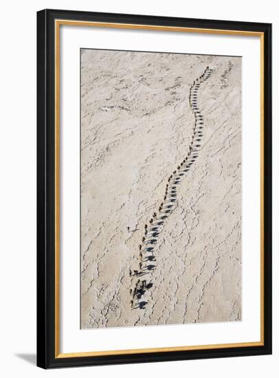 Ethiopia, Assale-Nigel Pavitt-Framed Photographic Print