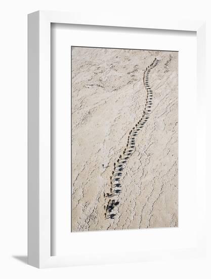 Ethiopia, Assale-Nigel Pavitt-Framed Photographic Print