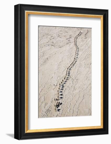 Ethiopia, Assale-Nigel Pavitt-Framed Photographic Print