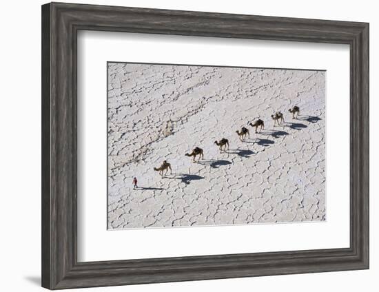 Ethiopia, Assale-Nigel Pavitt-Framed Photographic Print