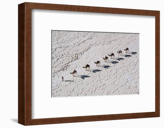 Ethiopia, Assale-Nigel Pavitt-Framed Photographic Print