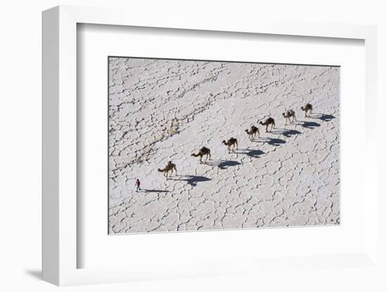 Ethiopia, Assale-Nigel Pavitt-Framed Photographic Print