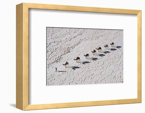 Ethiopia, Assale-Nigel Pavitt-Framed Photographic Print