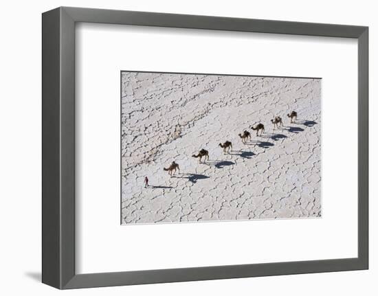 Ethiopia, Assale-Nigel Pavitt-Framed Photographic Print