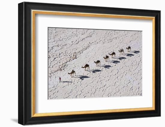 Ethiopia, Assale-Nigel Pavitt-Framed Photographic Print