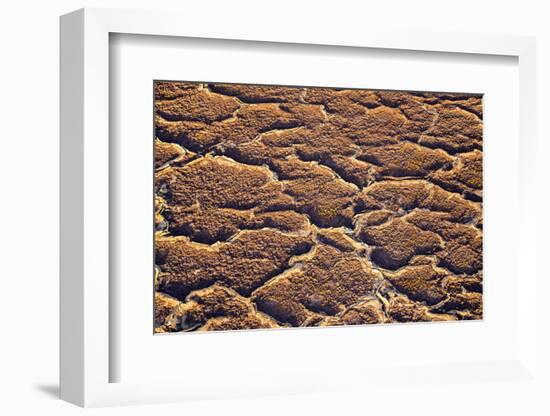 Ethiopia, Dallol-Nigel Pavitt-Framed Photographic Print