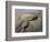 Ethiopia, Erta Ale Range, Catherine-Nigel Pavitt-Framed Photographic Print