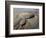 Ethiopia, Erta Ale Range, Catherine-Nigel Pavitt-Framed Photographic Print