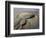 Ethiopia, Erta Ale Range, Catherine-Nigel Pavitt-Framed Photographic Print