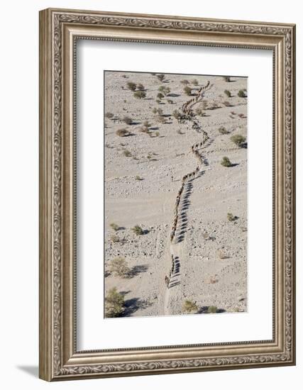 Ethiopia, Hamed Ela-Nigel Pavitt-Framed Photographic Print