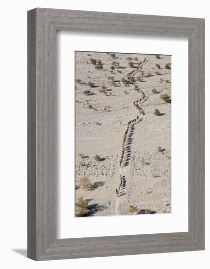 Ethiopia, Hamed Ela-Nigel Pavitt-Framed Photographic Print