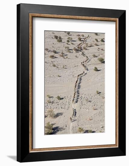 Ethiopia, Hamed Ela-Nigel Pavitt-Framed Photographic Print