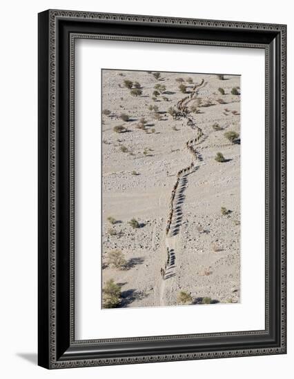 Ethiopia, Hamed Ela-Nigel Pavitt-Framed Photographic Print