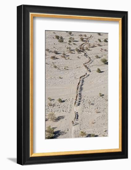 Ethiopia, Hamed Ela-Nigel Pavitt-Framed Photographic Print