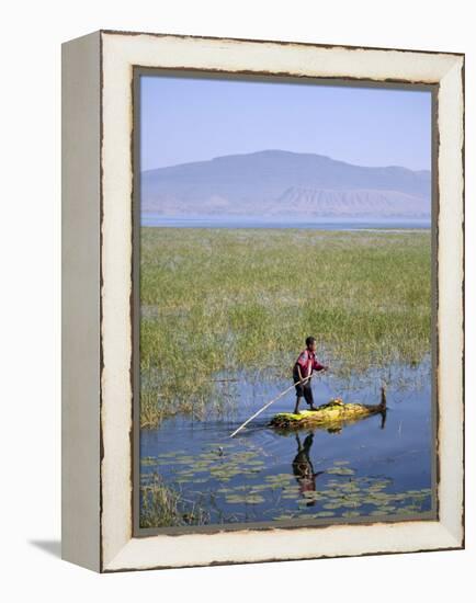 Ethiopia, Lake Awassa; a Young Boy Punts a Traditional Reed Tankwa Through the Reeds-Niels Van Gijn-Framed Premier Image Canvas