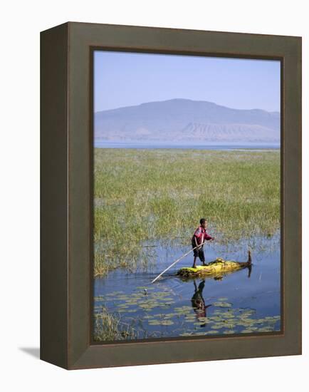 Ethiopia, Lake Awassa; a Young Boy Punts a Traditional Reed Tankwa Through the Reeds-Niels Van Gijn-Framed Premier Image Canvas