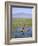 Ethiopia, Lake Awassa; a Young Boy Punts a Traditional Reed Tankwa Through the Reeds-Niels Van Gijn-Framed Photographic Print