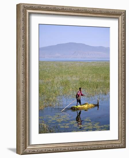 Ethiopia, Lake Awassa; a Young Boy Punts a Traditional Reed Tankwa Through the Reeds-Niels Van Gijn-Framed Photographic Print