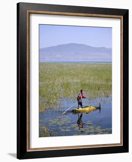 Ethiopia, Lake Awassa; a Young Boy Punts a Traditional Reed Tankwa Through the Reeds-Niels Van Gijn-Framed Photographic Print