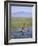 Ethiopia, Lake Awassa; a Young Boy Punts a Traditional Reed Tankwa Through the Reeds-Niels Van Gijn-Framed Photographic Print