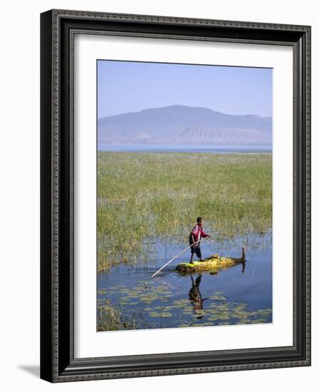 Ethiopia, Lake Awassa; a Young Boy Punts a Traditional Reed Tankwa Through the Reeds-Niels Van Gijn-Framed Photographic Print