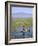 Ethiopia, Lake Awassa; a Young Boy Punts a Traditional Reed Tankwa Through the Reeds-Niels Van Gijn-Framed Photographic Print