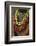 Ethiopia: Lower Omo River Basin, Omo Delta, a woman's beaded necklaces-Alison Jones-Framed Photographic Print