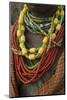 Ethiopia: Lower Omo River Basin, Omo Delta, a woman's beaded necklaces-Alison Jones-Mounted Photographic Print
