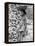 Ethiopia-Alfred Eisenstaedt-Framed Premier Image Canvas