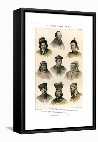 Ethnology, Races of Man, 1800-1900-R Anderson-Framed Premier Image Canvas