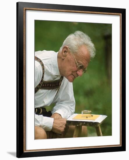 Ethologist Karl Von Frisch Testing the Ability of Bees to Perceive Color in His Home Garden-Nina Leen-Framed Premium Photographic Print