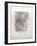 Etoiles filantes-Henri de Toulouse-Lautrec-Framed Premium Edition