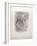 Etoiles filantes-Henri de Toulouse-Lautrec-Framed Premium Edition