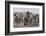 Etosha National Park, Namibia. Africa. a Herd of Bush Elephants-Janet Muir-Framed Photographic Print