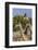 Etosha National Park, Namibia, Africa. Three Angolan Giraffe.-Karen Ann Sullivan-Framed Photographic Print