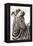 Etosha NP, Namibia, Africa. Close-up of a Young Mountain Zebra-Janet Muir-Framed Premier Image Canvas
