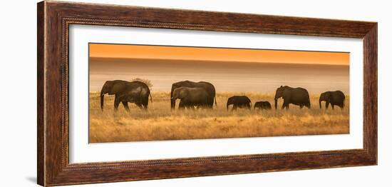 Etosha NP, Namibia, Africa. Elephants Walk in a Line at Sunset-Janet Muir-Framed Photographic Print