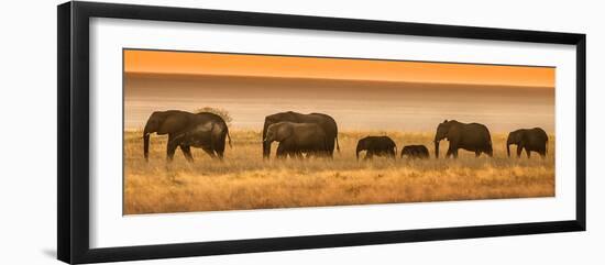 Etosha NP, Namibia, Africa. Elephants Walk in a Line at Sunset-Janet Muir-Framed Photographic Print